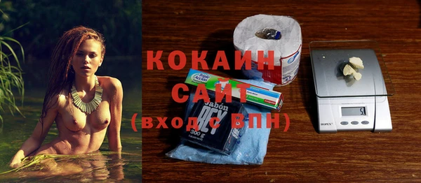 стафф Арсеньев