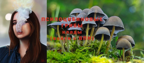 стафф Арсеньев